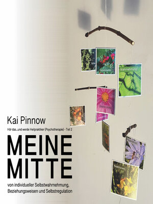 cover image of Hör das...und werde Heilpraktiker (Psychotherapie)--Teil 2